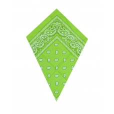 Green Paisley Bandana Head Scarf