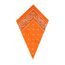 Orange Paisley Bandana Head Scarf